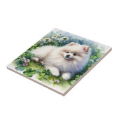 Witte Pommerse Hondenklaverveld Waterverf Tegeltje (Zijkant)