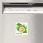 Witte pompelmoes magneet (Insitu (Vaatwasser))