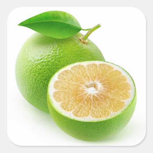 Witte pompelmoes vierkante sticker (Voorkant)