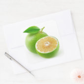 Witte pompelmoes vierkante sticker (Envelop)