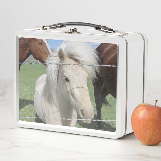 Witte Pony (In situ)