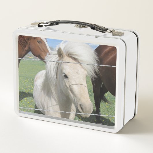 Witte Pony (Achterkant)