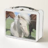 Witte Pony (Voorkant)