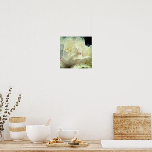 Witte pony-bloem dicht bij elkaar poster (Keuken)