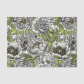 Witte pony-bloemen en -moten tissuepapier (Voorkant)