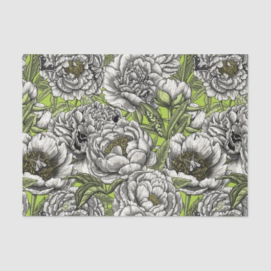 Witte pony-bloemen en -moten tissuepapier (Voorkant)