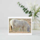 Witte Pony Briefkaart (Staand voorkant)