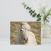 Witte Pony Briefkaart (Staand voorkant)
