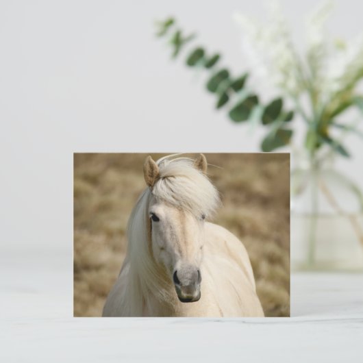 Witte Pony Briefkaart (Staand voorkant)