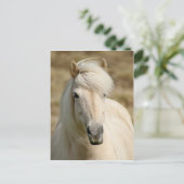 Witte Pony Briefkaart (Staand voorkant)