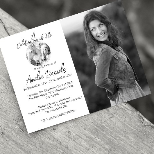 Witte Pony Foto Viering van het Leven Kaart