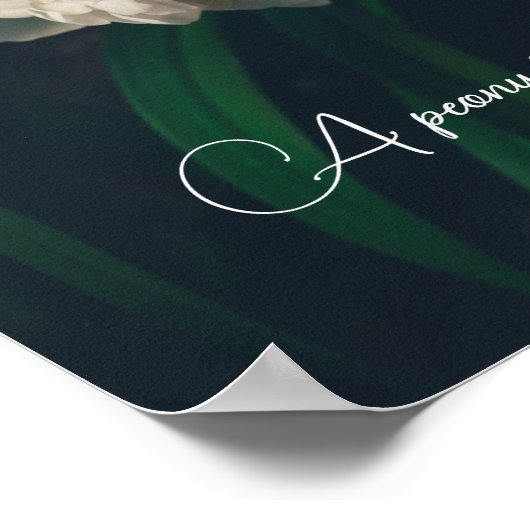 Witte pony poster (Hoek)