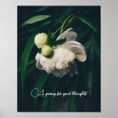 Witte pony poster (Voorkant)