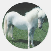 Witte Pony Ronde Sticker (Voorkant)