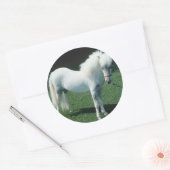 Witte Pony Ronde Sticker (Envelop)