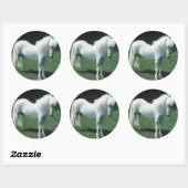 Witte Pony Ronde Sticker (Vel)
