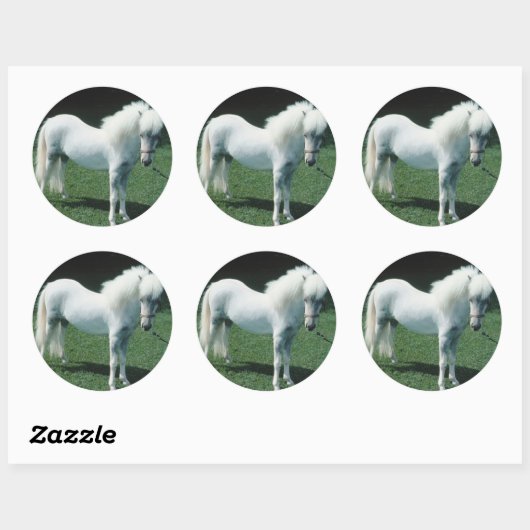Witte Pony Ronde Sticker (Vel)