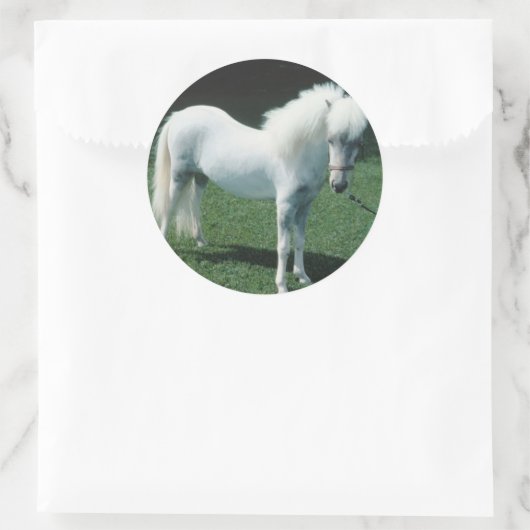 Witte Pony Ronde Sticker (Tas)