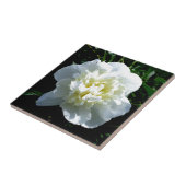 Witte pony tegeltje (Zijkant)