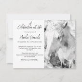 Witte Pony Viering van het Leven Kaart (Voorkant)