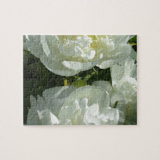 Witte pony's legpuzzel (Horizontaal)