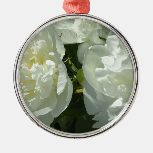 Witte pony's metalen ornament (Voorkant)