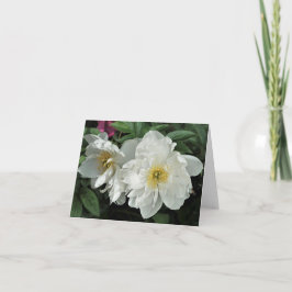 Witte pony's notitiekaartje