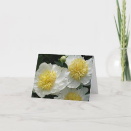 Witte pony's notitiekaartje