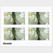 Witte pony's rechthoekige sticker (Vel)