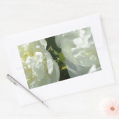 Witte pony's rechthoekige sticker (Envelop)