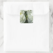 Witte pony's vierkante sticker (Tas)