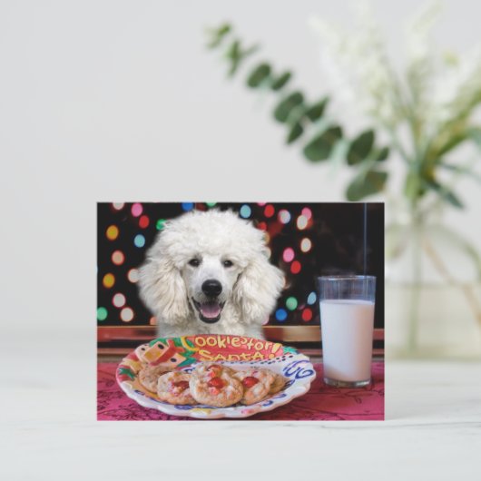 Witte Poodle Kerstmis Feestdagenkaart (Staand voorkant)