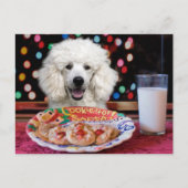 Witte Poodle Kerstmis Feestdagenkaart (Voorkant)