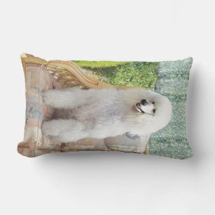 Witte Poodle Kussen
