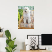 Witte Poodle Poster (Thuiskantoor)