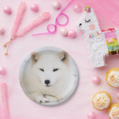 Witte poolvos in de sneeuw papieren bordje (Feest)