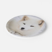 Witte poolvos in de sneeuw papieren bordje (Gekanteld)