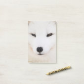 Witte poolvos in de sneeuw post-it® notes (Op bureau)