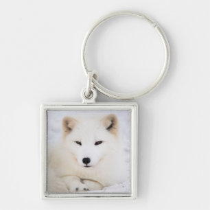 Witte poolvos in sneeuw sleutelhanger