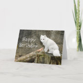 Witte poolvos kaart (Voorkant)