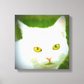 witte pootkat canvas afdruk (Voorkant)