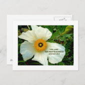 WITTE POPPY-Briefkaart Briefkaart (Voorkant / Achterkant)