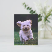 Witte porseleinkuif draaien briefkaart (Staand voorkant)