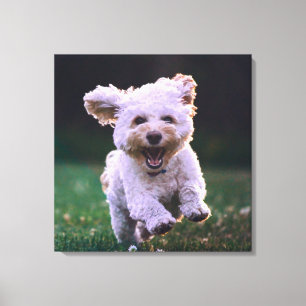 Witte porseleinkuif draaien canvas afdruk