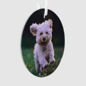 Witte porseleinkuif draaien ornament (voorkant)