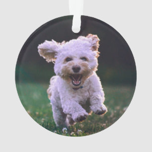 Witte porseleinkuif draaien ornament