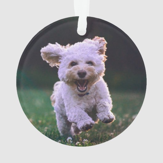 Witte porseleinkuif draaien ornament (achterkant)