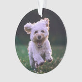 Witte porseleinkuif draaien ornament (voorkant)