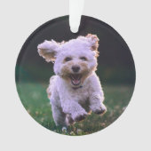 Witte porseleinkuif draaien ornament (voorkant)