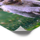 Witte porseleinkuif draaien poster (Hoek)